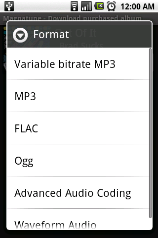 Plenty of media formats to choose from. I recommend Variable Bitrate MP3.